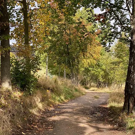 Appartamento Dolina Wikingow Szklarska Poręba