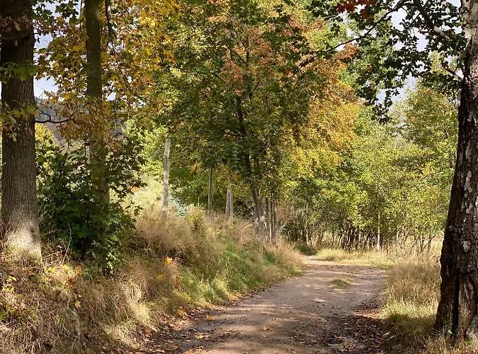 Διαμέρισμα Dolina Wikingow Szklarska Poręba